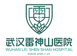 武汉雷山医院